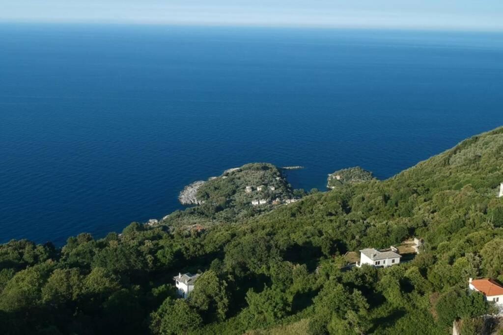 Deja Blue Mouresi